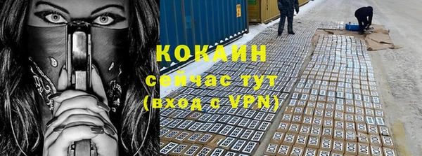 хмурый Елизово