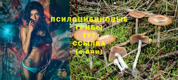 метадон Ельня