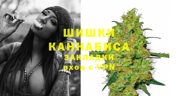 хмурый Елизово