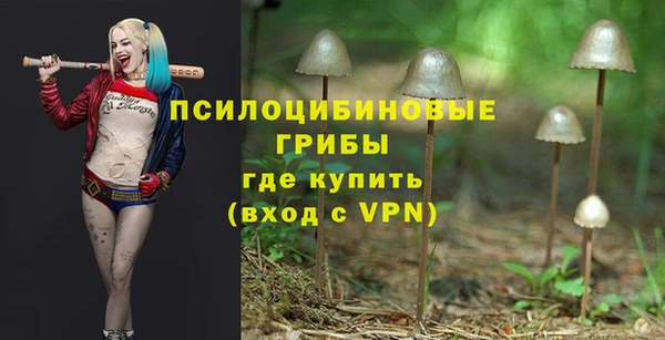 метадон Ельня