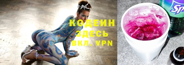 хмурый Елизово