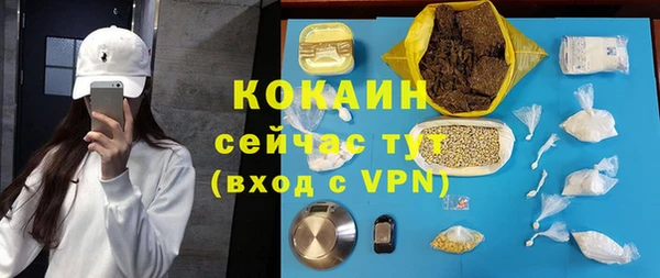 метадон Ельня