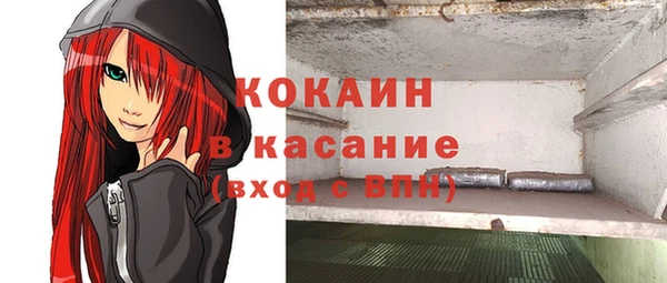 метадон Ельня