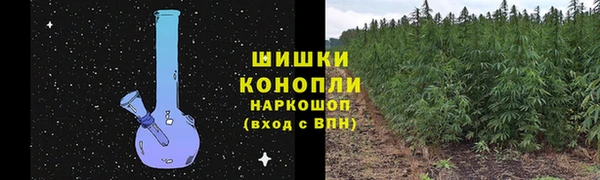 метадон Ельня